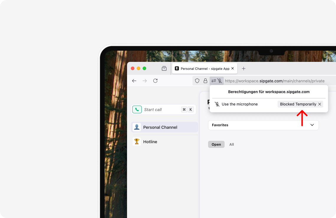 HC-Image-sipgate-app-web-mic-permissions-en-firefox-1.png