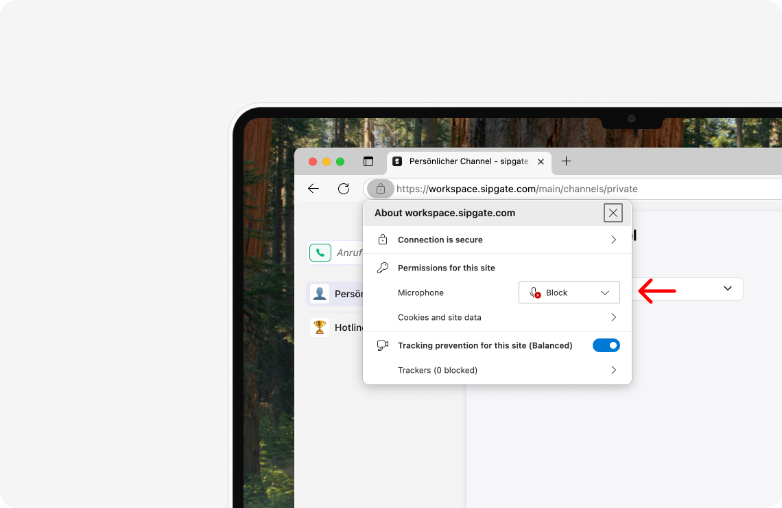 HC-Image-sipgate-app-web-mic-permissions-en-edge.png