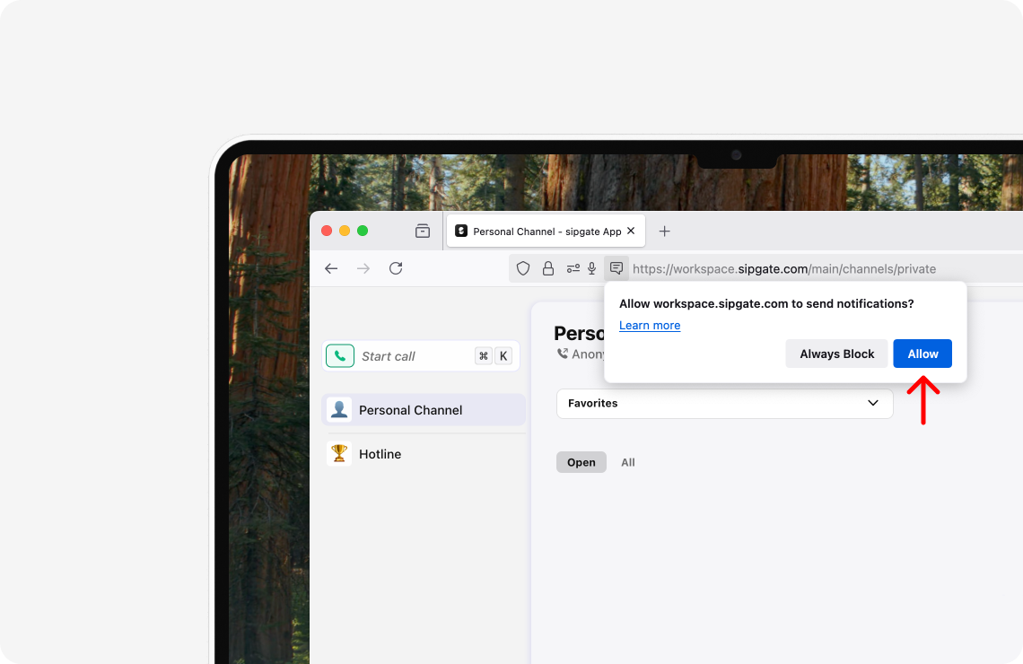 HC-Image-sipgate-app-web-notification-permissions-en-firefox-3.png